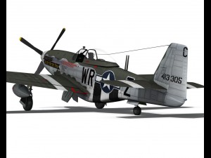north american p51d the hun hunter texas 3D Model