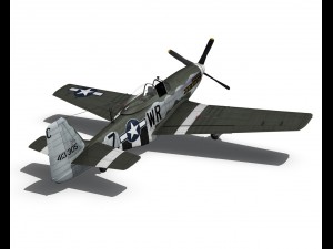 north american p51d the hun hunter texas 3D Model