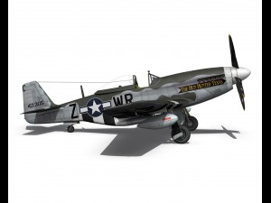 north american p51d the hun hunter texas 3D Model
