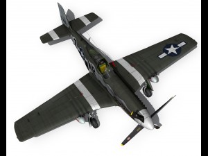 north american p51d the hun hunter texas 3D Model