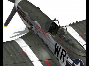north american p51d the hun hunter texas 3D Model