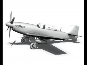 north american p51d the hun hunter texas 3D Model