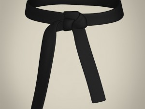 realistic male karate master Modello 3D