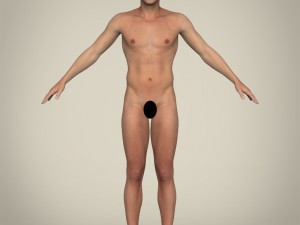 realisitc young handsome male Modelo 3D