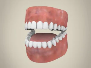 realistic handsome teenage boy 3D Model