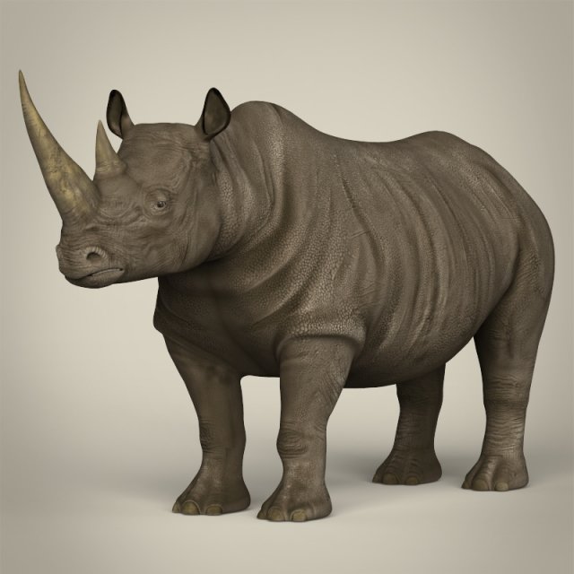 realistic rhinoceros 3Dモデル .c4d .max .obj .3ds .fbx .stl .blend 