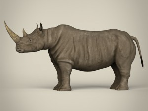 realistic rhinoceros 3Dモデル