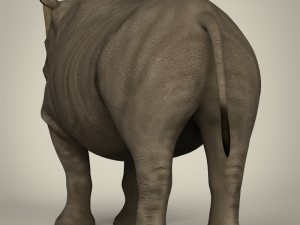 realistic rhinoceros 3Dモデル