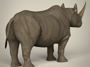 realistic rhinoceros 3Dモデル