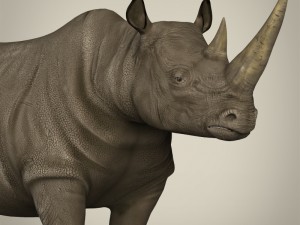 realistic rhinoceros 3Dモデル