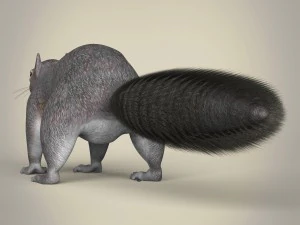 realistic squirrel 3D Model