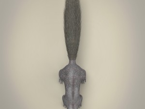 realistic squirrel Modelo 3D