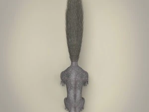 realistic squirrel 3D Model