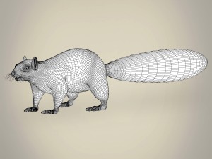 realistic squirrel Modelo 3D