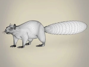 realistic squirrel 3D Model