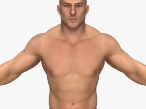 realistic muscular man 3D Model