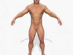 realistic muscular man 3D मॉडल