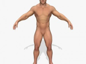 realistic muscular man 3D Model