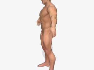 realistic muscular man 3D मॉडल