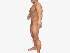 realistic muscular man 3D Model