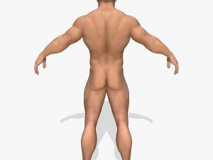 realistic muscular man 3D Model