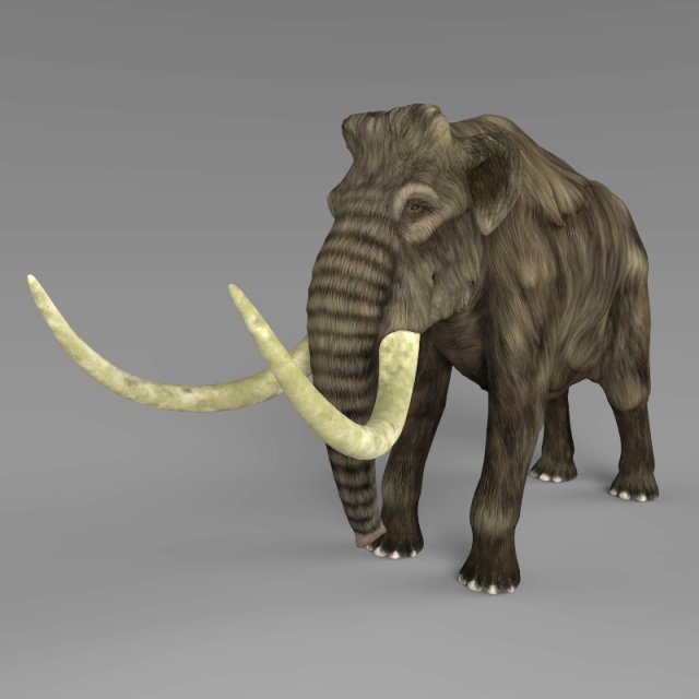 realistic mammoth elephant Modèle 3D .c4d .max .obj .3ds .fbx .stl .blend 