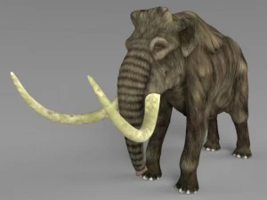 realistische mammoetolifant 3D Model