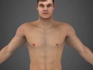 758 Average Man Body Images, Stock Photos, 3D objects, & Vectors