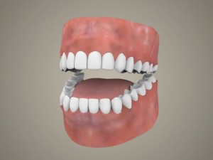Realistic youngy girl 3D Model