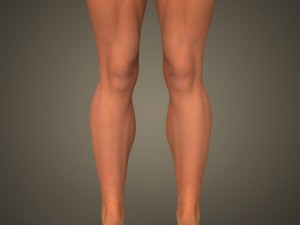 Realistic bodybuilder woman Modèle 3D