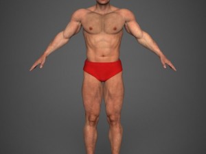 Realistic bodybuilder man 3D मॉडल