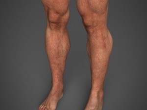 Realistic bodybuilder man 3D मॉडल