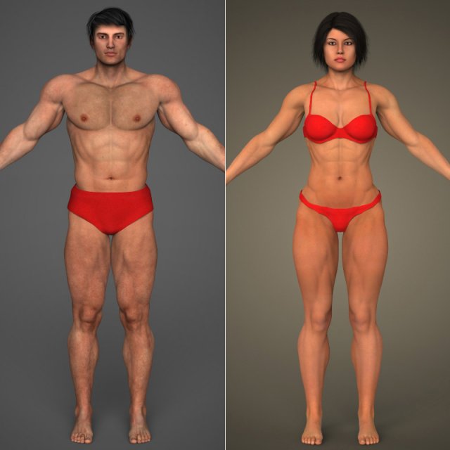realistic bodybuilder male female Modelo 3D .c4d .max .obj .3ds .fbx .stl .blend 