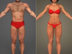 realistic bodybuilder male female Model 3D