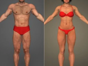 realistischer Bodybuilder männlich weiblich 3D Modell