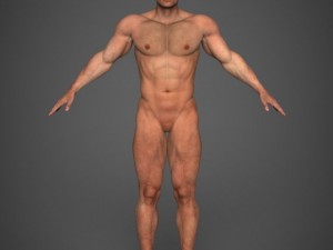 realistic bodybuilder male female Modelo 3D