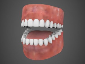 realistic bodybuilder male female Modelo 3D