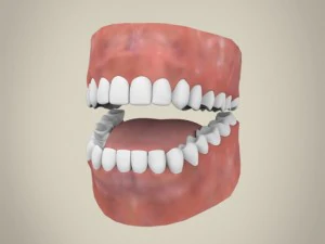 Realistic youngy female 3D Model