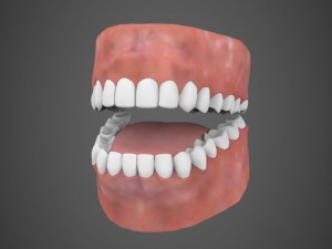 Realistic young pretty girl 3D मॉडल