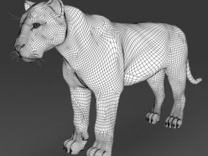 realistic white tiger 3D Model