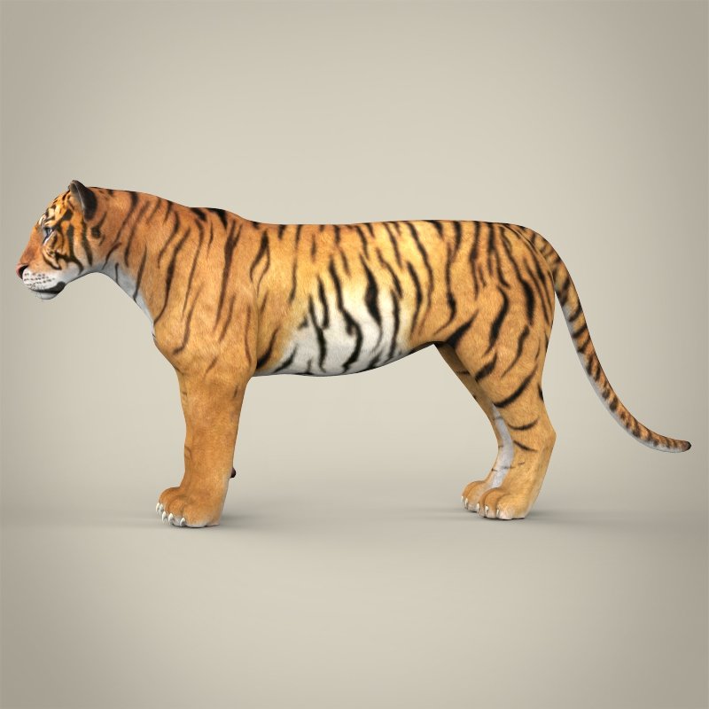 spore Bengal Tiger vs real 3d Bengal Tiger by Evilution90 on