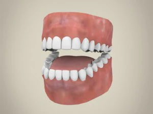 Realistic young teen girl 3D Model