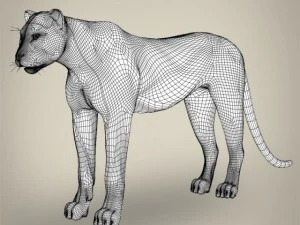 realistic cheetah 3D Model