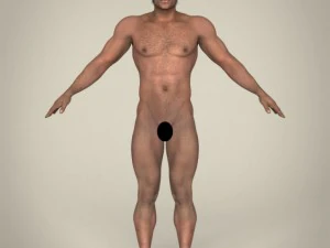 realistic african muscular male 3D Model