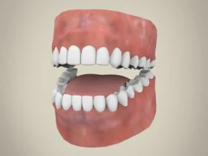 realistische jonge mooie dame 3D Model