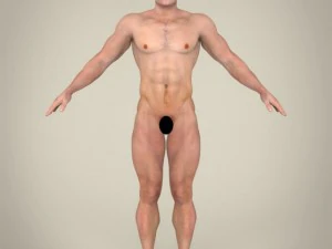 realistic handsome man 3D Model