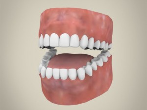 realistic handsome man 3Dモデル