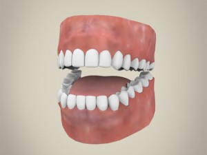 realistic old age woman 3D Модель