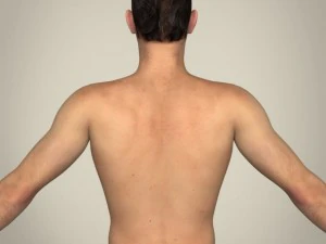 реалістичний молодий чоловік 3D Модель