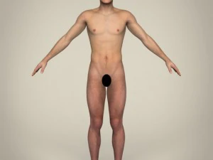 реалістичний молодий чоловік 3D Модель